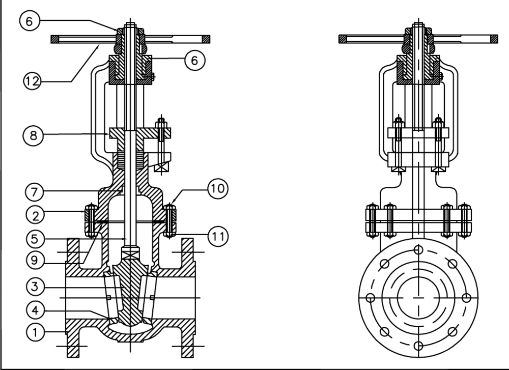 Sectional general-arrangement drawing of an AEW gate valve, with balloon callouts 1 to 12