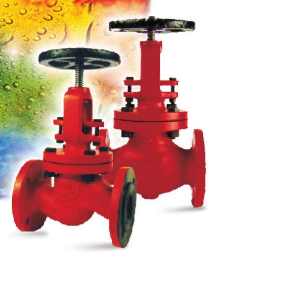 AEW cast steel flanged OS&Y globe valve